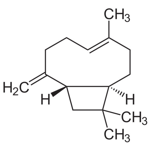 Beta-Caryophyllene(80-98)